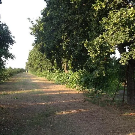 Societa Agricola Le La Dondina Feriegård *