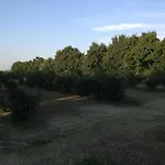 Societa Agricola Le La Dondina * בודירו