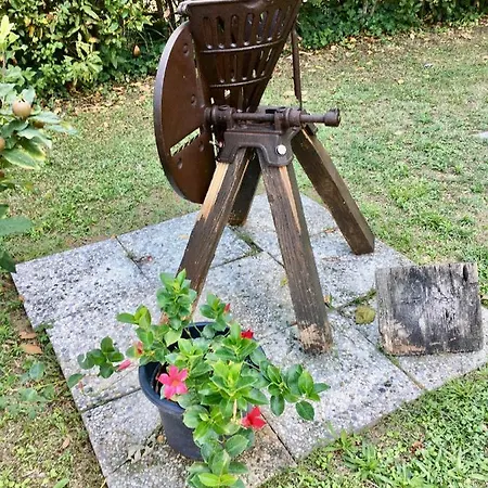 Societa Agricola Le La Dondina *