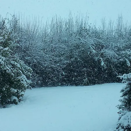Alojamento de Turismo Rural Societa Agricola Le La Dondina