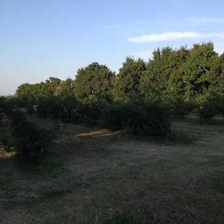 La Dondina * Budrio (Bologna)