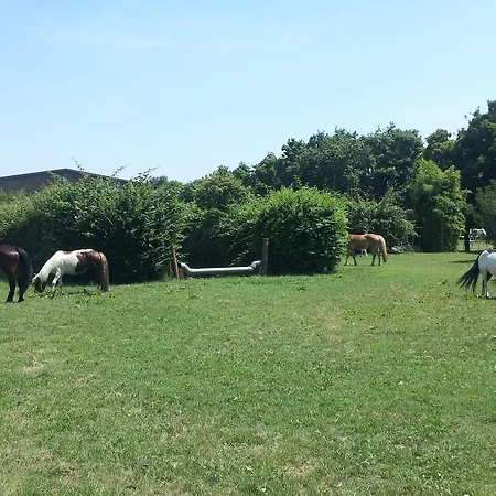 Societa Agricola Le La Dondina Alojamento de Turismo Rural Budrio (Bologna)
