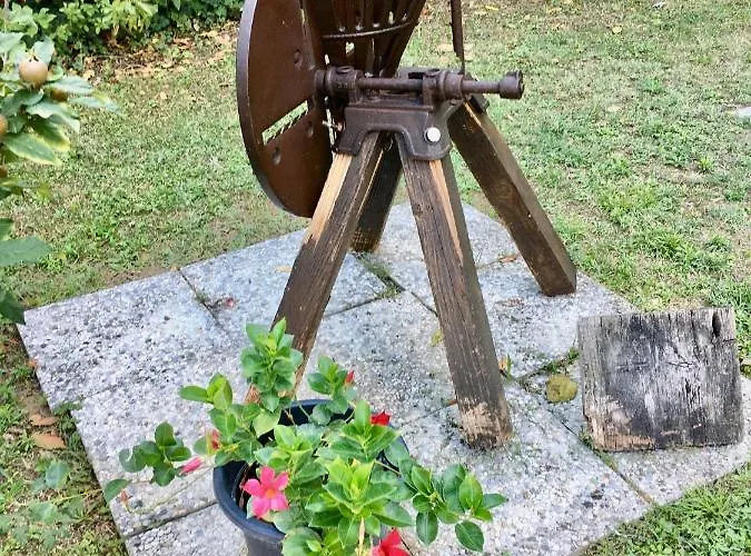 Societa Agricola Le La Dondina *