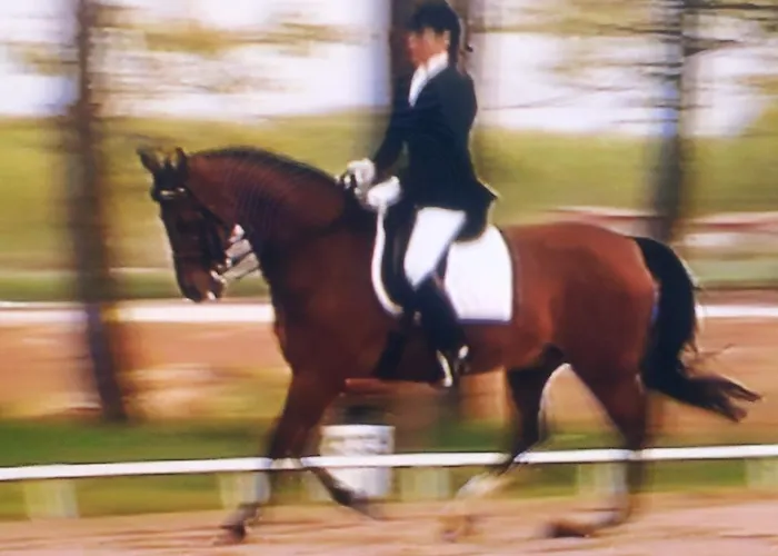 Κατάλυμα σε φάρμα Societa Agricola Le La Dondina