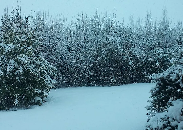 Feriegård Societa Agricola Le La Dondina