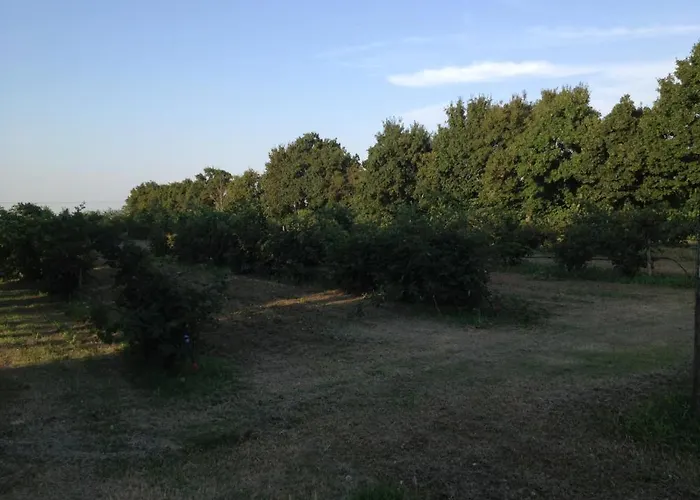 Societa Agricola Le La Dondina * Budrio (Bologna)