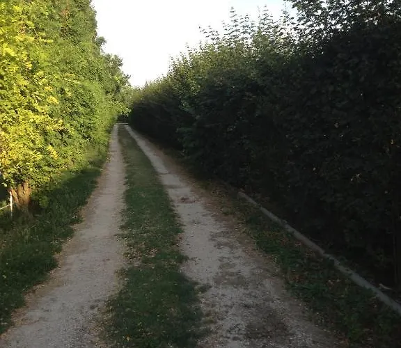 Societa Agricola Le La Dondina Feriegård Budrio (Bologna)