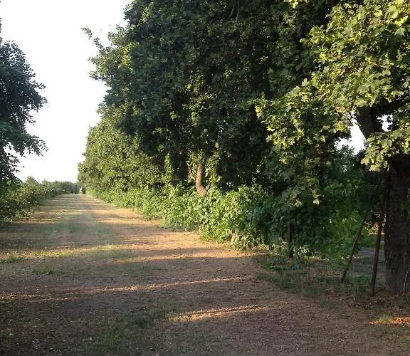 Societa Agricola Le La Dondina Feriegård *