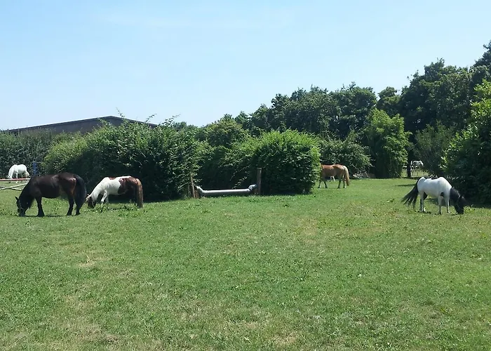 Societa Agricola Le La Dondina Feriegård Budrio (Bologna)